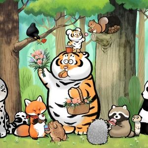 Used Kid book and toy